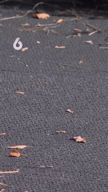yc065x.gif