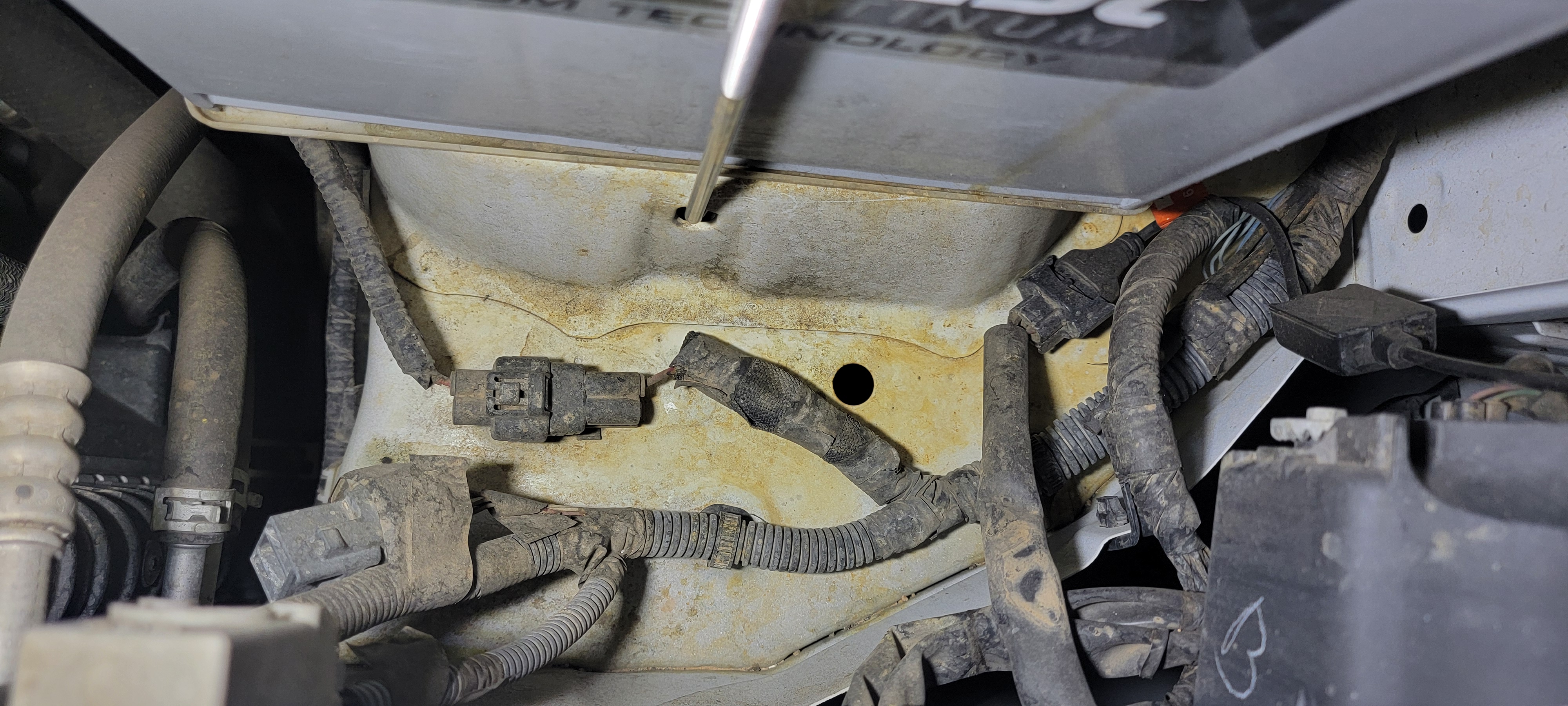 Before I clean my engine bay, does this wiring look normal/factory