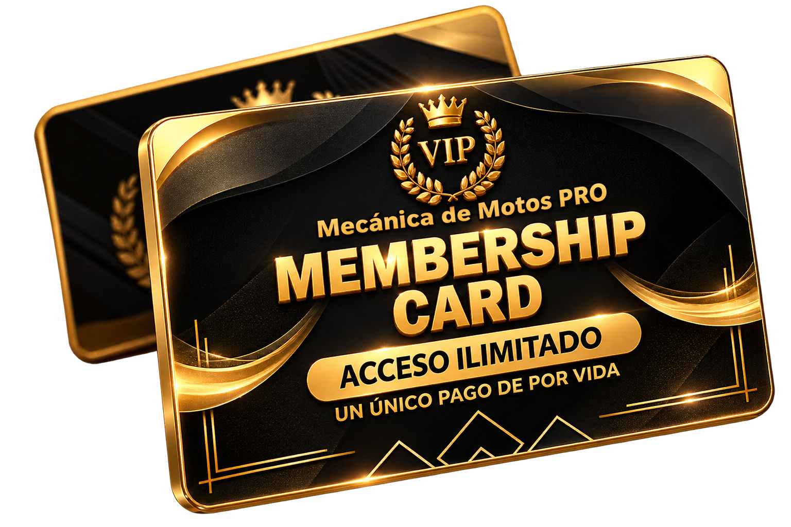 Membresía VIP acceso ilimitado