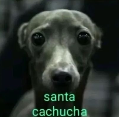 halflife's profile picture