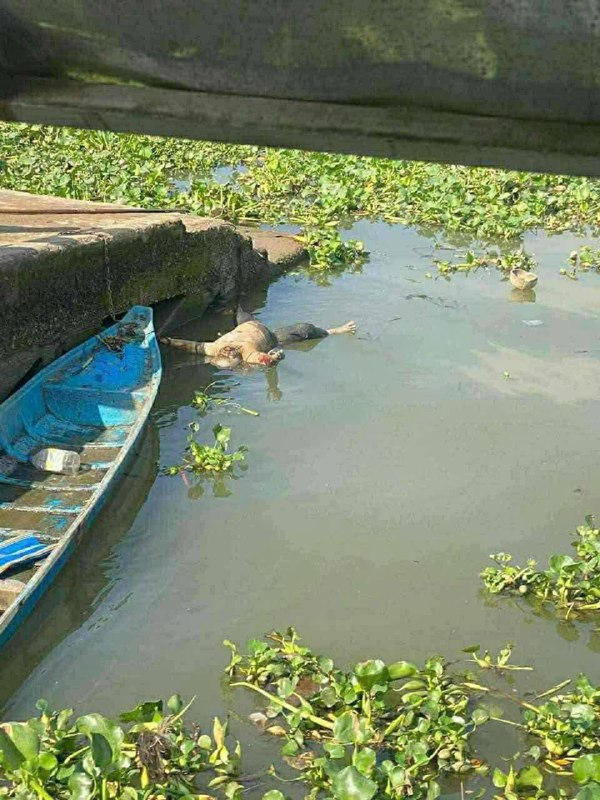 Lực lượng cứu hộ tìm kiếm