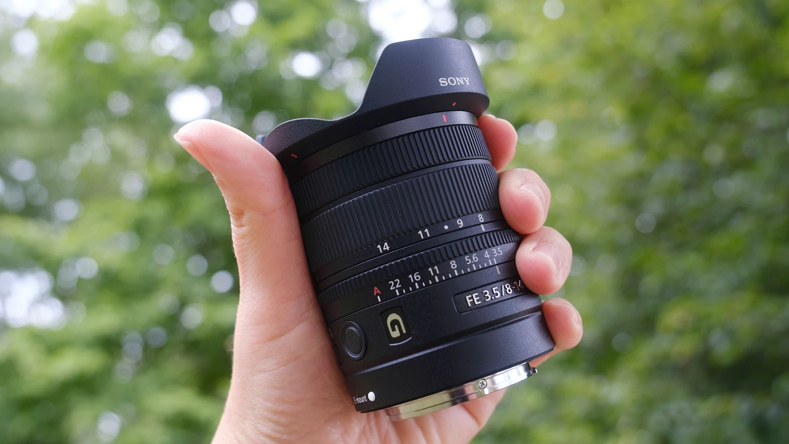 Sony 8-14mm Fisheye G: Góc Nhìn Chân Dung Siêu Rộng Độc Lạ - Hình 1