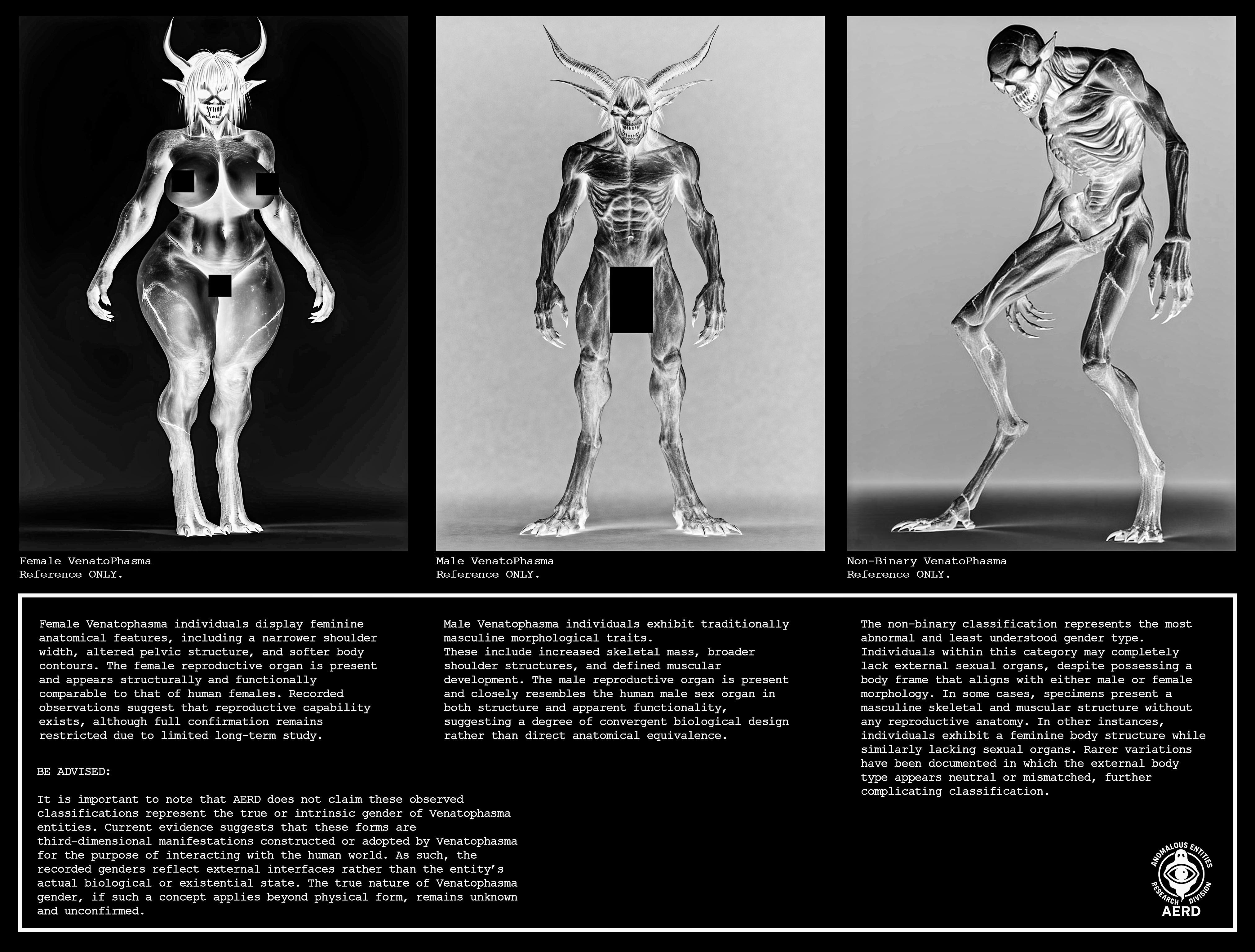 Research Image 6