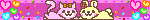 cat and bunny in love