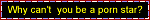 why cant you be a porn star