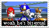 stamp of a screencap of 'sonic realtime fandub,' where sonic is seen saying 'whoa, he's bisexual'