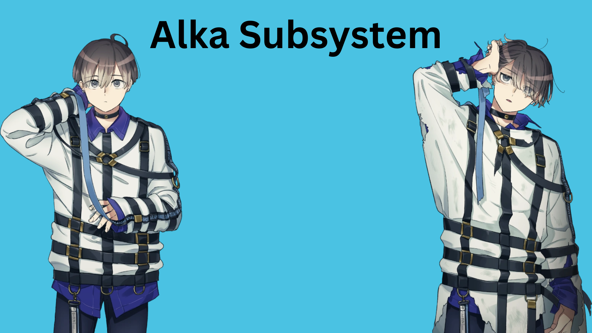 Alka Subsystem