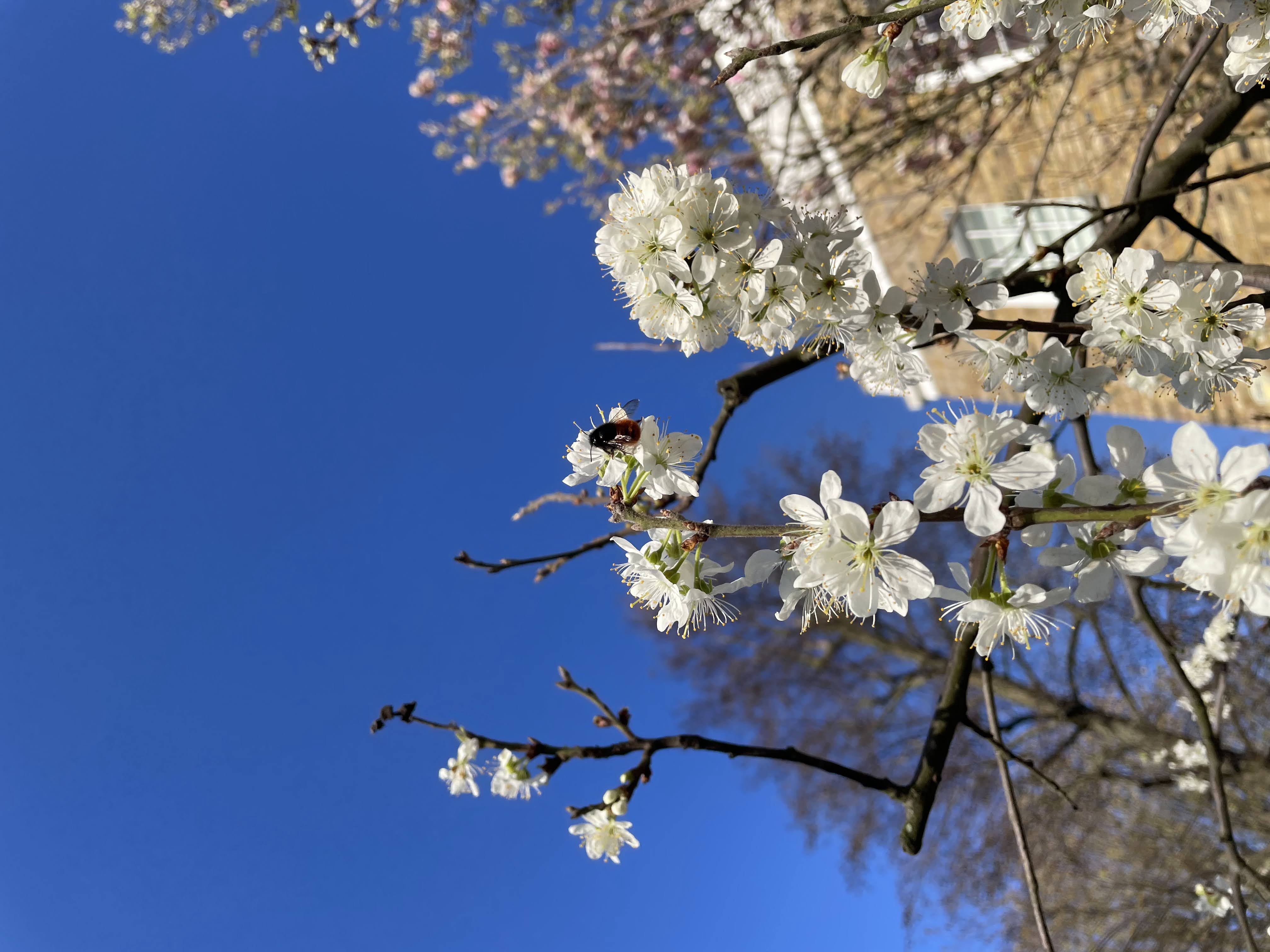 Cheatsheet image example