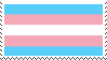 trans man