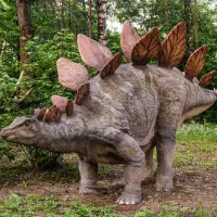 Stegosaurus