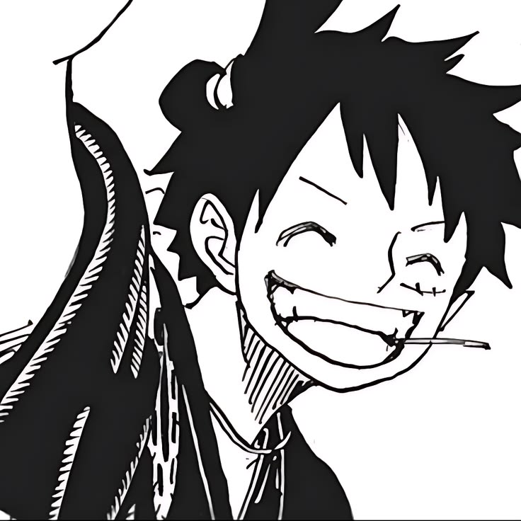 one piece banner