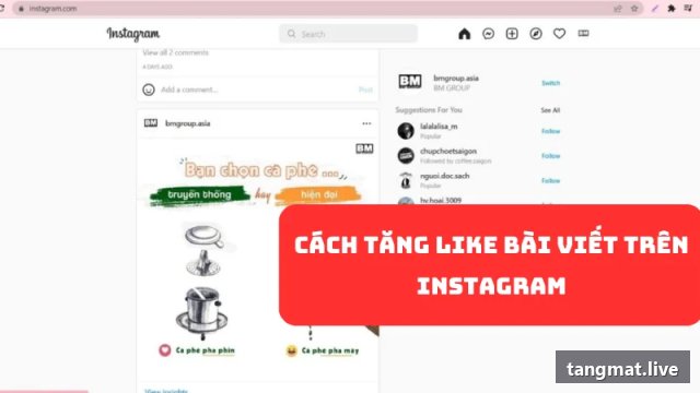 Post Likes service on Instagram at Tangmat.live