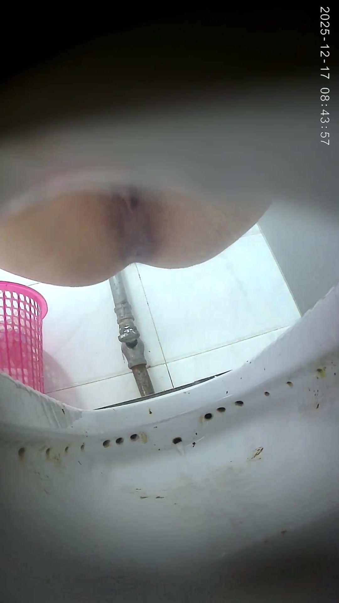 Toilet Spy — 0508(37) — screenshot 2