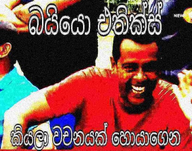 zh95o1.jpg