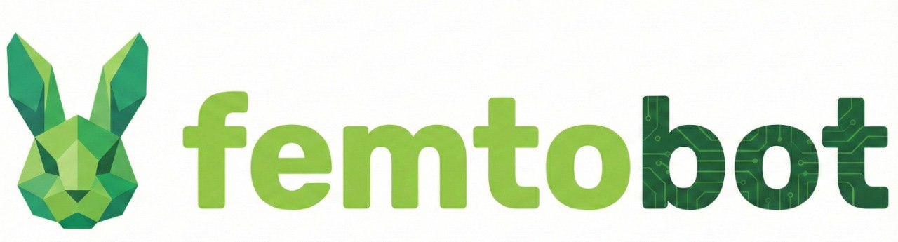 FemtoBot Logo
