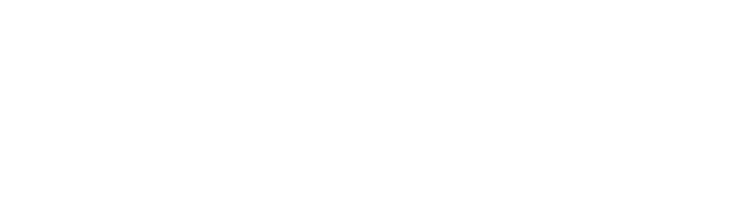 UN Emblem