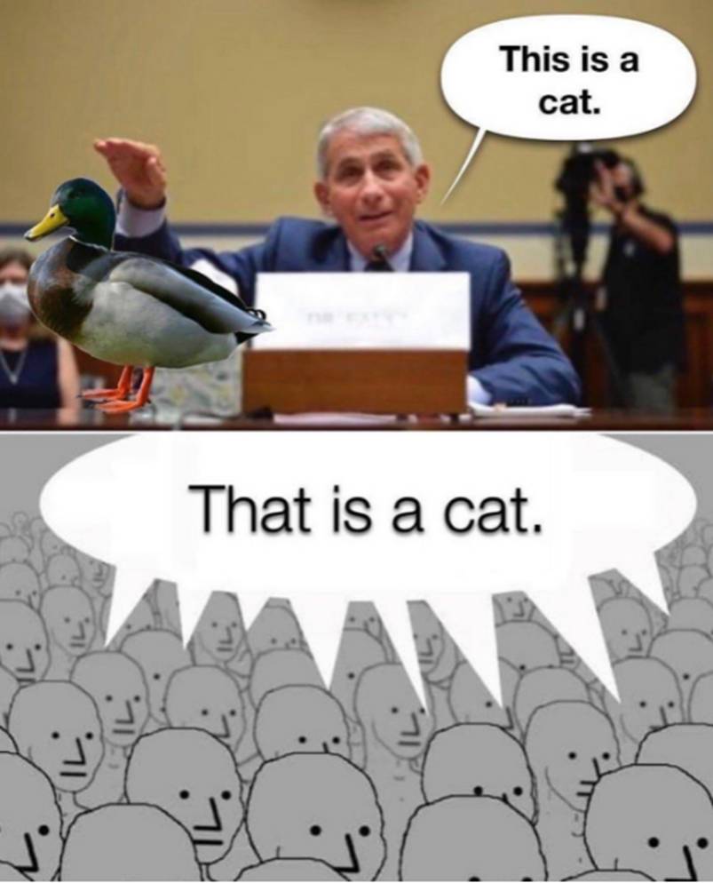 砰,砰,砰|星际之门通讯