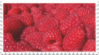 raspberries