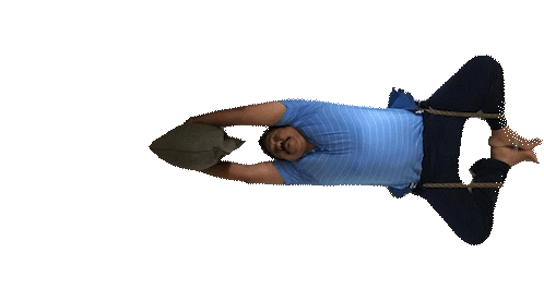zp8o88.gif