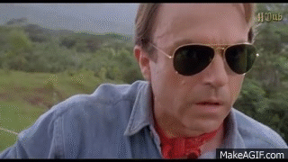 zsonh1.gif