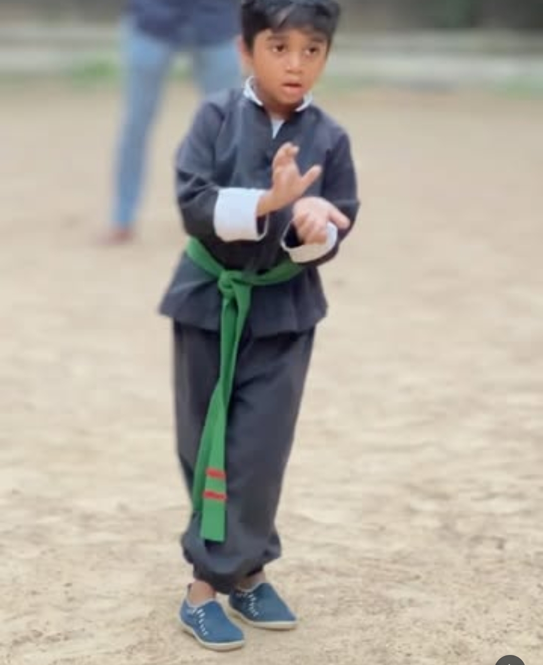 Young student practicing Wushu hand forms
