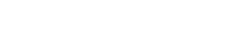 Big 5 Global