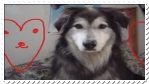 zyg4hi.png