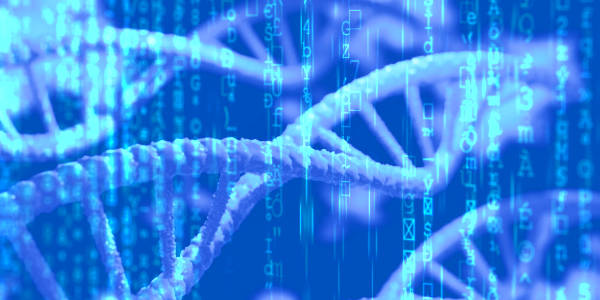 Researchers release complete mapping of human genome…